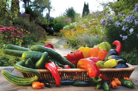 Growing and Cooking with Cucumbers and Peppers Image